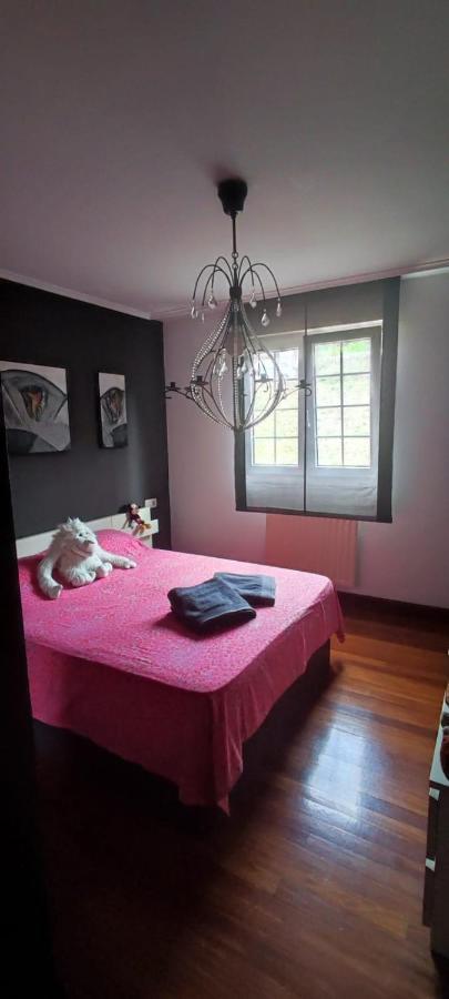 בילבאו Nala House, Acogedor,Bien Comunicado,Aparcamiento Gratis En La Calle מראה חיצוני תמונה